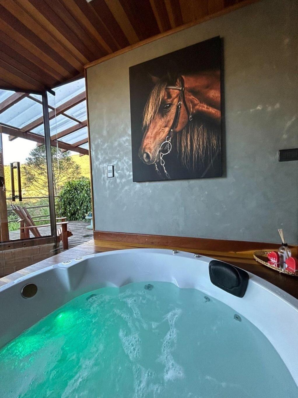 Vila Refugio Horse Santo Antônio do Pinhal Exteriér fotografie